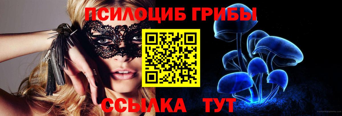 Магадан  Галлюциногенные грибы GOLDEN TEACHER  Вход с VPN 